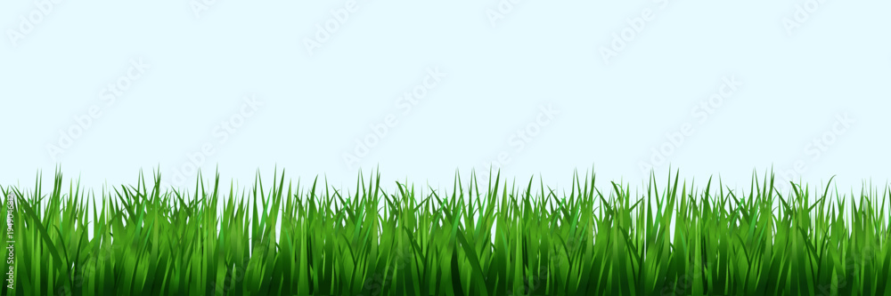Fototapeta premium Seamless green grass lawn border with lush blades and wild meadow vegetation in cartoon style vector pattern for spring garden landscape background with natural turf texture and outdoor field design