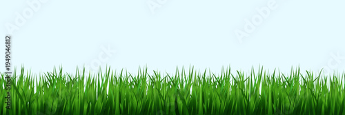 Seamless green grass lawn border with lush blades and wild meadow vegetation in cartoon style vector pattern for spring garden landscape background with natural turf texture and outdoor field design