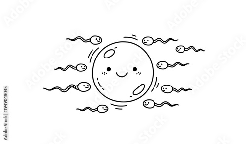 Cute ovum and sperm cartoon doodle reproductive biology vector illustration