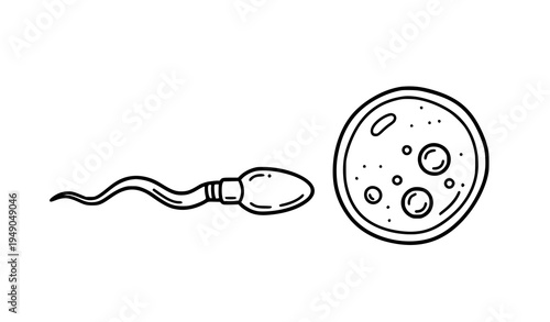 Sperm swimming toward ovum cartoon doodle fertilization vector illustration