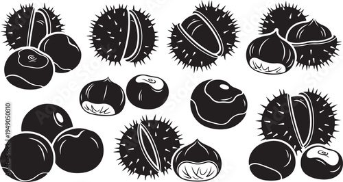 Illustration of chestnuts in various stages and forms shown