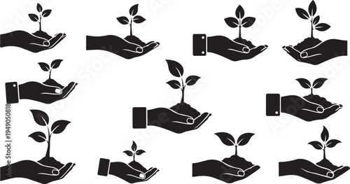Hands nurturing small plants growth and care concept