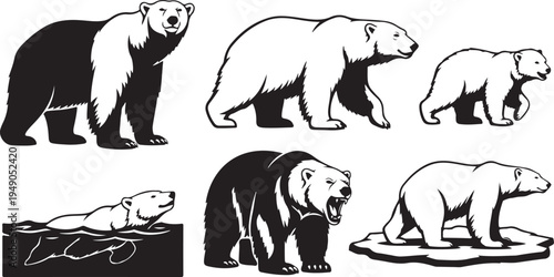 Black and white polar bear illustrations in various poses