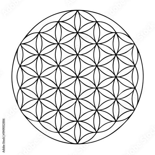 Flower of Life Sacred Geometry Pattern