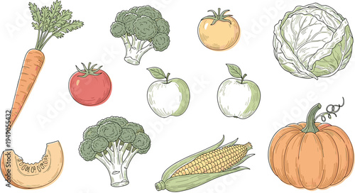 Fresh Vegetables and Fruits Vector Set Featuring Carrots, Tomatoes, Broccoli, Cabbage, Pumpkin, Pear, and Corn for Organic Gardening and Healthy Eating