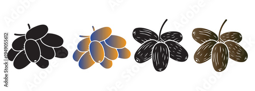 Four different colored illustrations of a cluster of dates on white background