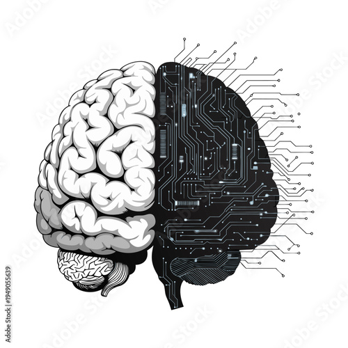 Human brain anatomy illustration on white background showing mind intelligence science and medical concept.