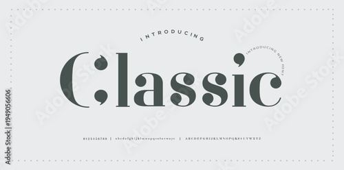 Classic luxury modern beauty logo alphabet font. Typography beautiful fashion classic letters serif italic fonts decorative wedding vintage logos. vector illustration
