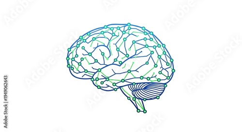 Conceptualization of the human brain and its neural network connections, highlighting cognitive processes and learning