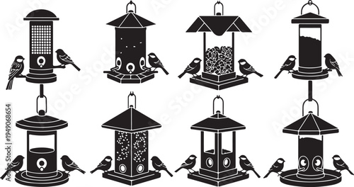 Birds feeding from various bird feeders illustration set outdoors
