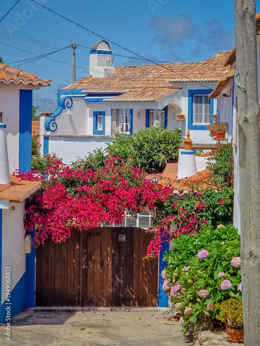 Colorful traditional house with plants