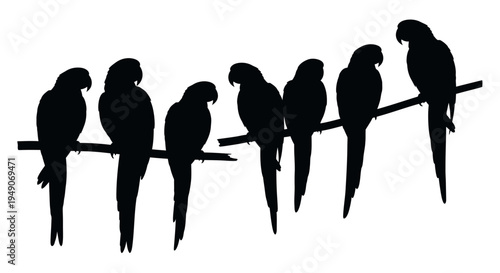 Seven parrot silhouettes perched on a long branch