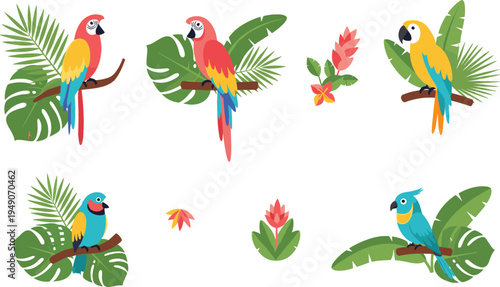 Tropical parrot birds with jungle leaves vector set featuring colorful macaws and exotic rainforest birds perched on branches flat illustration