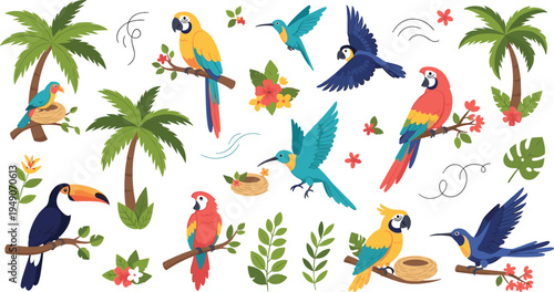 Colorful tropical birds and palm trees vector set featuring parrots, toucan, hummingbirds, nests and jungle plants decorative flat illustration collection