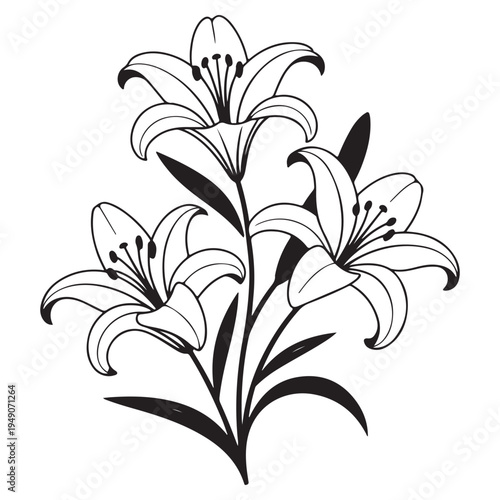 Elegant floral arrangement of lilies with slender stems and detailed petals a striking silhouette