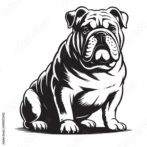 A detailed black and white illustration of a stoic english bulldog stark silhouette