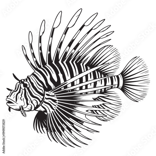 Intricate illustration of a lionfish with striped patterns and flowing fins a striking silhouette