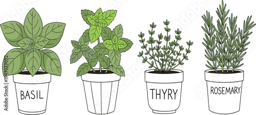 Red Mushrooms in a Forest Clearing, Vibrant Fungi Growing with Greenery, Natural Forest Environment Illustration for Nature and Botanical Art