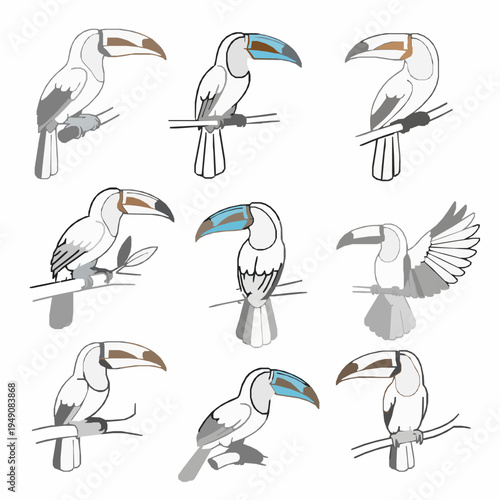 Keel billed toucan line vector illustration set tropical bird outline EPS10 isolated on white