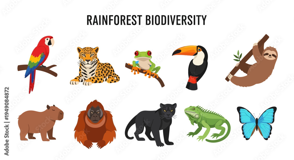 Fototapeta premium Illustration of ten colorful rainforest animals against a white background under a title