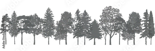 Architectural Vector Drawing of Wetland Forest Tree Line Section and Side View Set for Landscape Design, Detailed Botanical Silhouettes with Separate Layered Elements for Environmental Planning, Archi