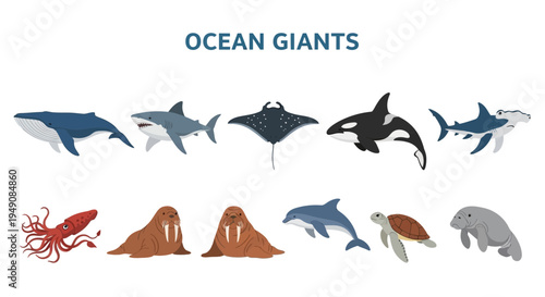 Illustration of ten ocean giant animals arranged in two rows