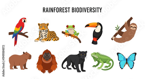 Illustration of ten colorful rainforest animals against a white background under a title