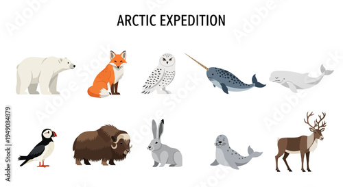 Arctic animals illustration with ARCTIC EXPEDITION title