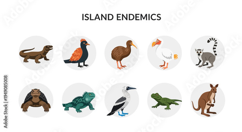Ten circular icons depicting various island endemic animals against a white background