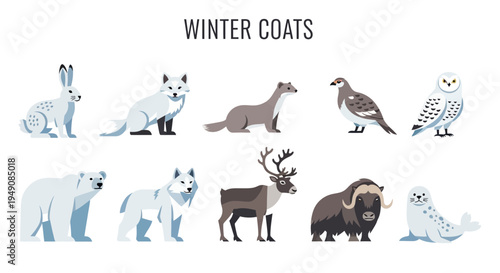Arctic animals with winter coats illustrated in two rows