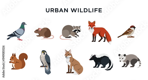 Ten diverse urban wildlife animals illustrated in two rows on a white background