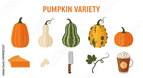 Illustration showing five pumpkin varieties pie seeds a knife a vine and a drink