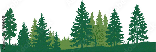 Evergreen Coniferous Forest Tree Silhouette Set with Pine, Fir, Cedar and Scotch Fir Trees, Isolated Vector Illustration on White Background, Each Tree Separate and Free Standing for Landscape Design,