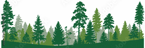 Evergreen Coniferous Forest Tree Silhouette Set with Pine, Fir, Cedar and Scotch Fir Trees, Isolated Vector Illustration on White Background, Each Tree Separate and Free Standing for Landscape Design,