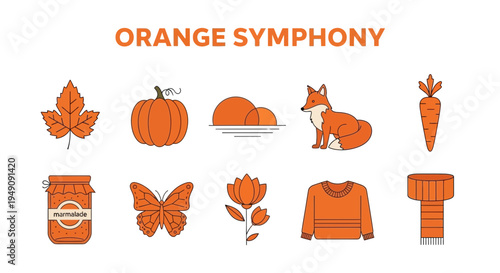 Orange icons leaf pumpkin sunset fox carrot marmalade butterfly flower sweater scarf