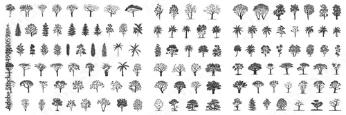 Adobe Illustrator Minimal CAD Tree Line Drawing with Tropical and Oak Trees, Side View Outline Symbols for Architecture and Landscape Design, Clean Minimal Style Vector Illustration with Stroke and Wh