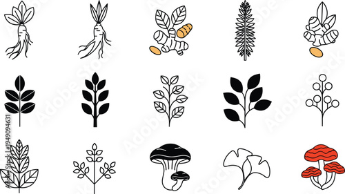 Herbal Plants and Roots Vector Set Featuring Ginseng, Turmeric, Ginger, and Other Medicinal Herbs for Natural Healing and Herbal Remedies