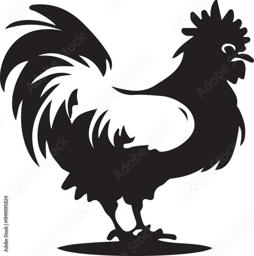 rooster vector illustration