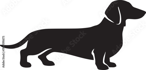 Black silhouette of a dachshund dog, isolated on white background, vector illustration