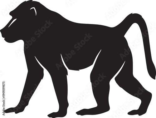 Black silhouette of a baboon walking, isolated on white background, primate vector