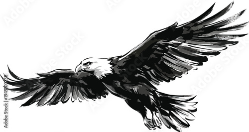 PrintBald Eagle Flying with Wings Spread Wide, 
Black and White Ink Sketch Illustration on White Background