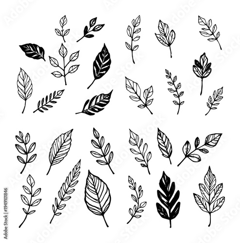 Handmade ink stamp leaves set with isolated black and white leaf blots featuring ink stamps, forest leaves, texture with monochrome and high detail