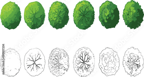 Set of green and outline tree top view symbols for landscape architecture design and garden site planning icons in vector format