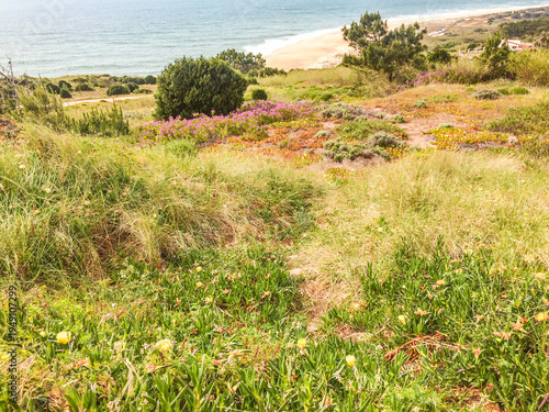 Surfers Point Nazaré Beach in Portugal	