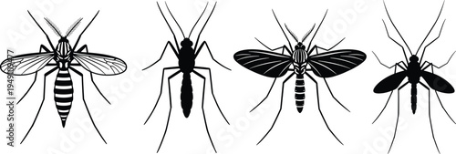 Mosquito insect collection detailed and silhouette flying mosquito pest vector illustration set isolated disease carrier bug design