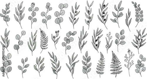 Black and white illustration of various plants isolated on transparent background