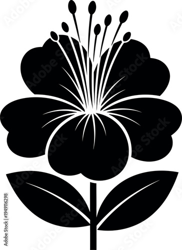 A black and white illustration of a stylized flower with large petals and stamens on a plain white background with leaves