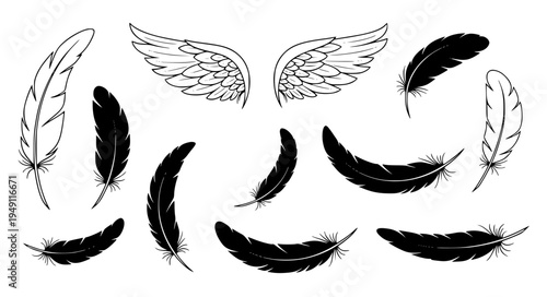 Angel Wing Feather Silhouette Collection with Soft Spiritual Heavenly Shapes