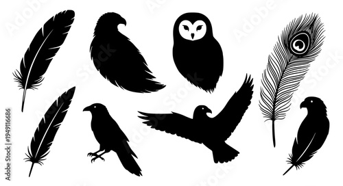 Bird Species Feather Silhouette Collection Including Eagle Owl Peacock Crow Hawk and Parrot