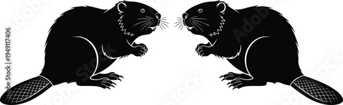 Beaver silhouette vector illustration, two beavers facing each other with detailed tails wildlife rodent animal black design collection